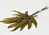 Ribbon Fern Olive Green 15-20cm