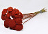 Achillea Parker Red 70cm