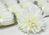 Chrysanthème Crème Artificielle D12cm