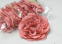 Artificial Peony Salmon D13cm