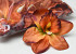 Kunst Orchidee Bruin D13cm