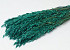 Avena Emerald Green 70cm