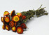 Bouquet Helichrysum Orange_Rouge 45cm Ouvert