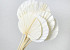 Palm Spear ronde Blanchi 40-55cm 