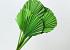 Palm Spear ronde Vert 40-55cm 