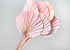 Palm Spear ronde Rose Pastel 40-55cm 