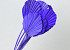 Palm Spear ronde Violet 40-55cm 