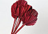 Palm Spear ronde Rouge 40-55cm 