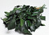 Feuille de Hedera Vert 60-70cm