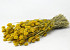 Bouquet Phalaris Jaune 70cm