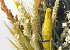 Dried Field Bouquet Natural/Yellow 45cm