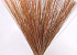 Bouquet Reed Cane Saumon 75cm