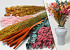 Dried Flower Bouquet XL Pink/Orange 