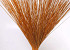 Reed Cane Oranje 75cm