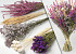 DIY Dried Flower Bouquet White/Pink XL