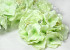 Hydrangea Head Green D18cm 