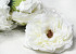 Artificial Peony Cream D13cm