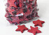 Coco Star Dark Red 10cm 50pcs