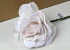 Foam Rose XL light Pink, D 13cm