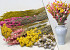 DIY Dried Flower Bouquet Yellow/Pink XL