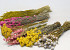 DIY Dried Flower Bouquet Yellow/Pink XL