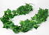 Guirlande Artificielle Pothos Vert 200cm 