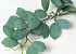 Artificial Eucalyptus Green 100cm 