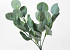 Künstliche Eucalyptus Spray 34cm