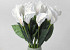 Artificial Calla White 65cm 