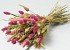 Dried Flower Bouquet Pink Natural 55cm