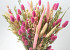 Dried Flower Bouquet Pink Natural 55cm