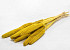 Babala Jaune 10pcs 70cm 