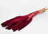 Babala Bordeaux 10St. 70cm 