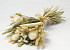 Dried Flower Bouquet Natural White 60cm