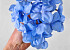 Tête d'Hortensia Bleu Clair Artificielle D16cm