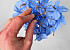 Tête d'Hortensia Bleu Clair Artificielle D16cm