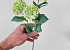 Allium Blanc artificielle 42cm