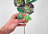 Artificial Allium Violet 42cm