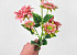 Artificial Gerbera Pink 66cm