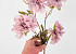 Artificial Carnation Pink 72cm