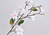 Tige de Magnolia Blanc Artificielle 90cm 