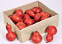 Calabash 10-14cm 15-Pack red