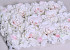 Flower Panel 60x40cm White-Pink