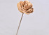 Wood Rose on 40cm stem