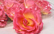 Artificial Rose Pink D11cm 