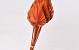 Palm Spear 40-55cm Orange