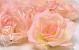 Artificial Rose Peach D10cm