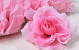 Artificial Rose Light Pink D10cm