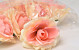 Artificial Rose Yellow/Salmon D11cm