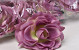 Artificial Rose Purple/Yellow D11cm